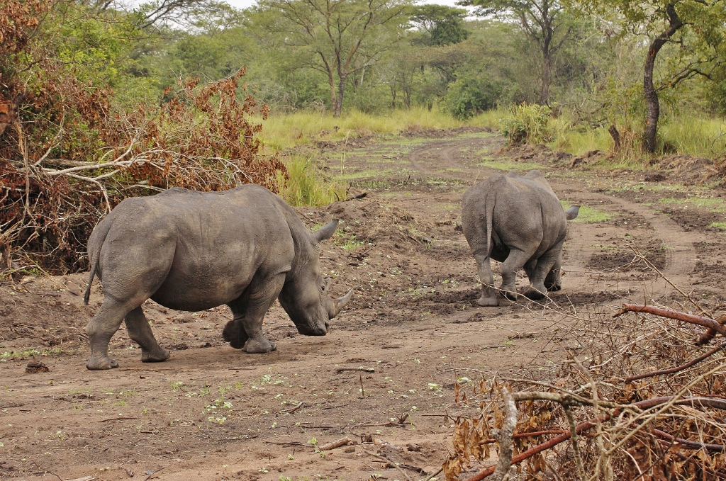 Ziwa Rhino Sanctuary