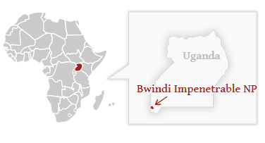 Národní park Bwindi - poloha na mapě Ugandy 