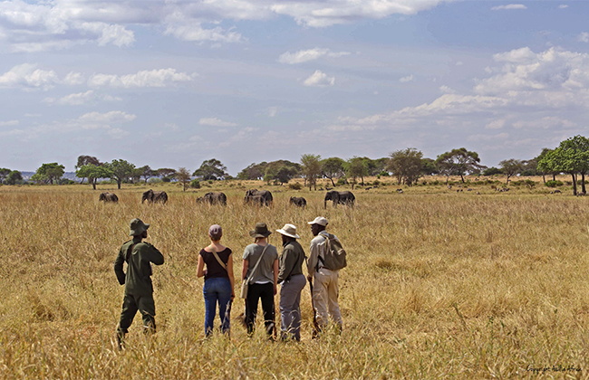 Pěší safari v Kidepo Valley